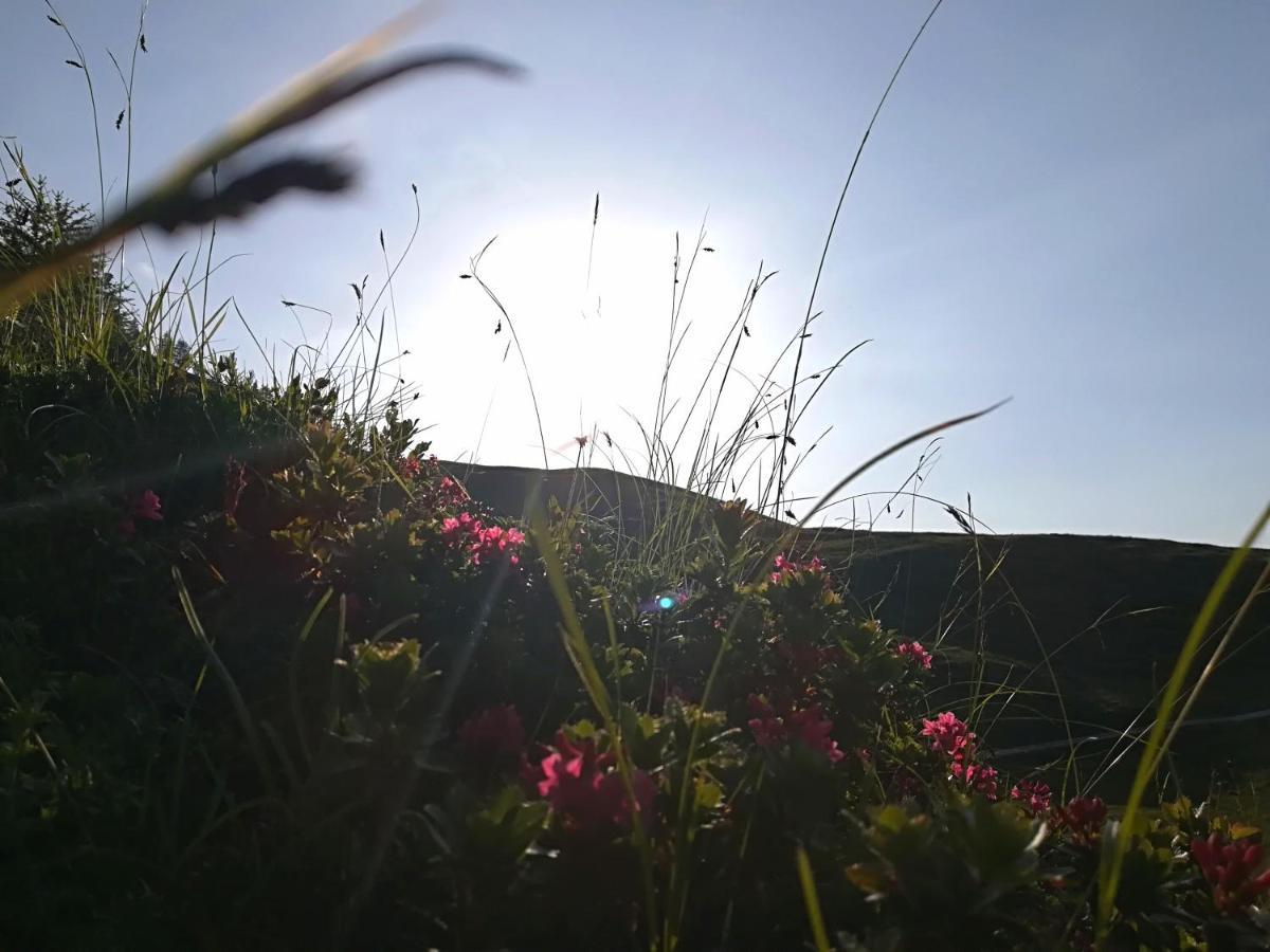 Ferienwohnung Herbst Wohnerlebnis Lofer Exterior foto